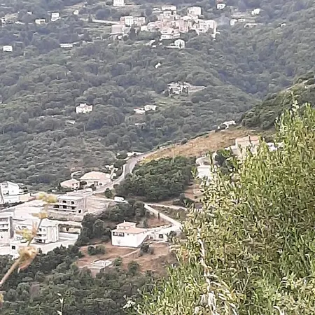 Ribellu Villa Bastia  Exterior photo