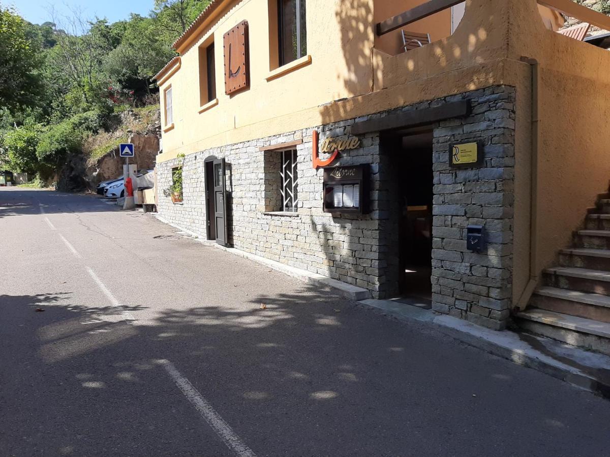 Ribellu *
