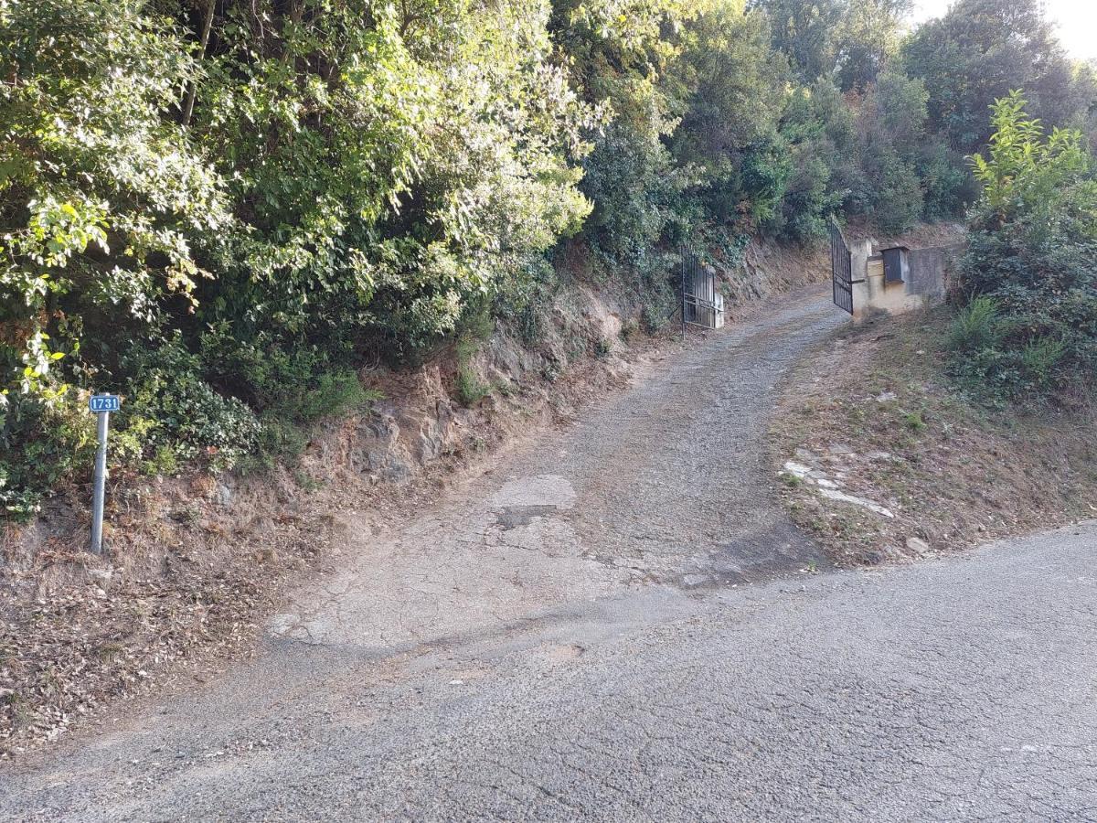 Ribellu Villa *