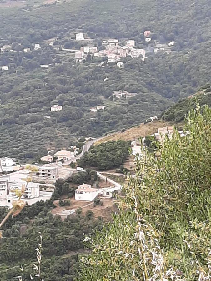 Ribellu Villa *
