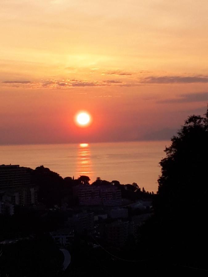 Ribellu *