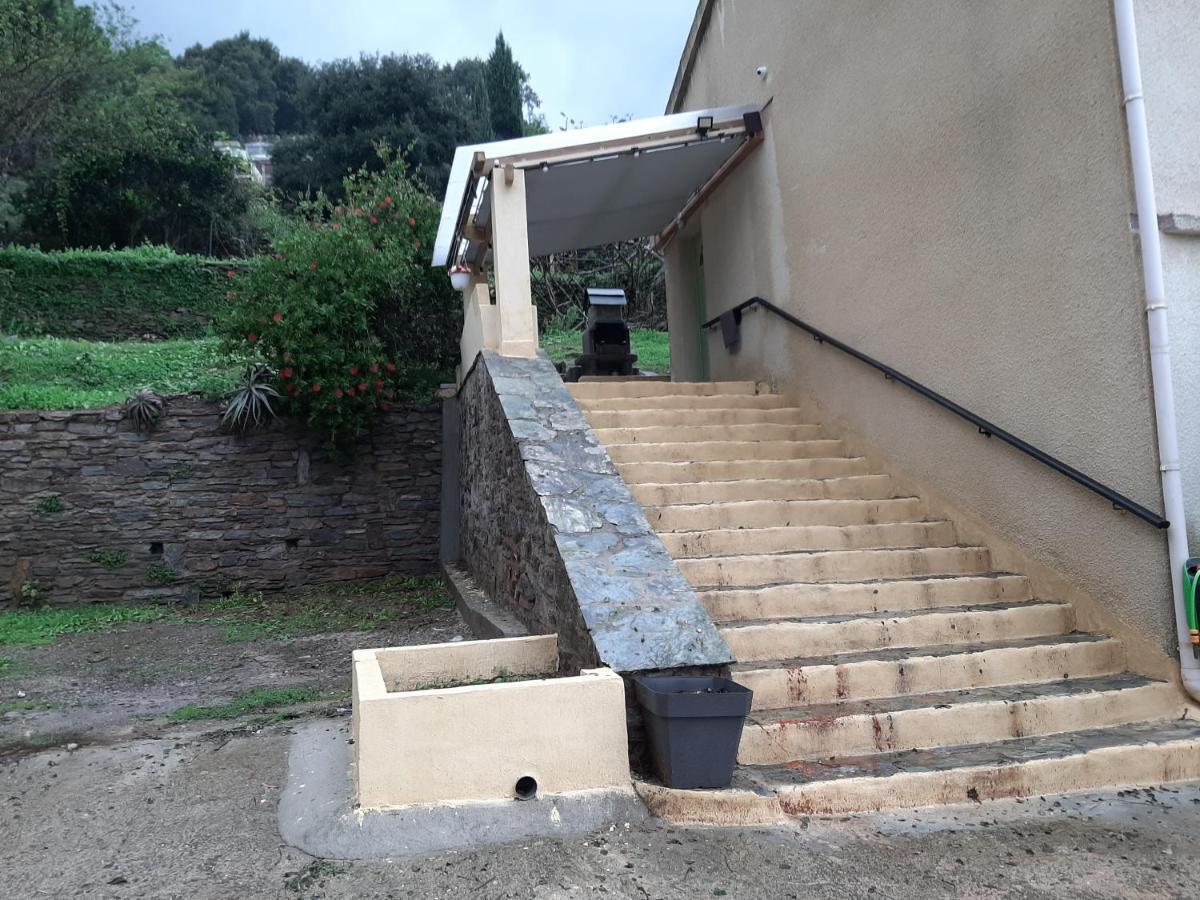 Ribellu Bastia (Corsica)